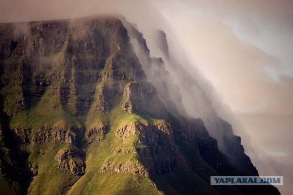 Подборка картинок 29.03.16