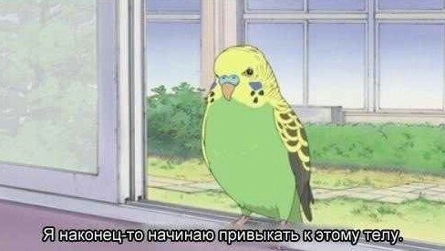 Абсурдный юмор ч.21