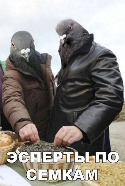 Случайные картинки