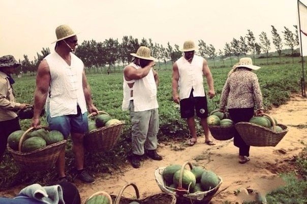 Забавные картинки из сети