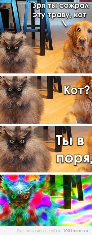 Абсурдный юмор ч.26
