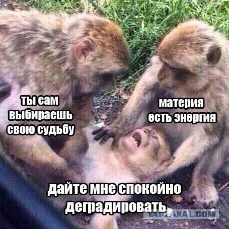 Порция абсурдного юмора на следующую неделю