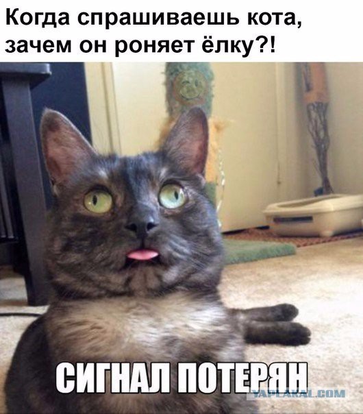 Смешные комментарии и картинки на новогоднюю и околоновогоднюю тематику