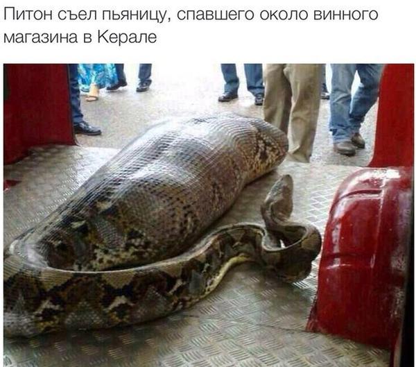 Умом Россию не понять, аршином общим не измерить…