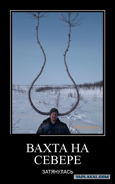 Как живут вахтовики на Ямале