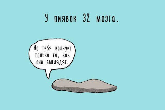 Картинки разнобезобразные, юмор спецефический