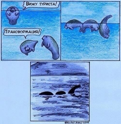 На озере Лох-Несс опять заметили монстра