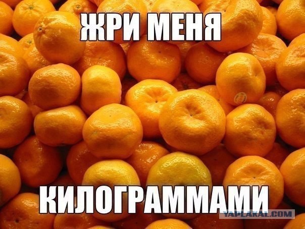 Россия вложит в Абхазию шесть миллиардов рублей