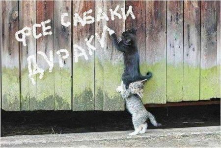 Почему продажные женщины выгоднее, чем современные "бахини", когда "надо" всего раз-два в месяц