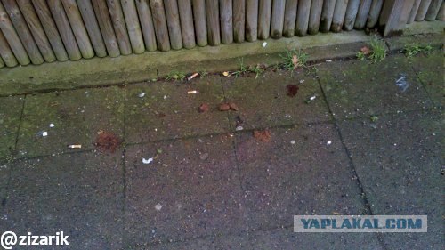 Вещи, которым я не перестаю удивляться в Германии