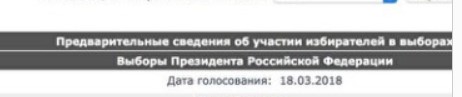 «Назад в будущее»: Сайт Тульского избиркома сообщил о 40% явке на мартовских выборах президента