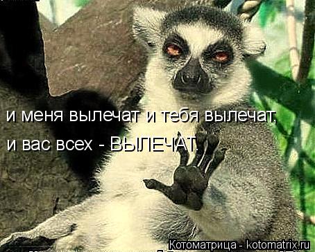 "Психопат звучит обидно". Врач объяснил невозможность пересчитать шизофреников