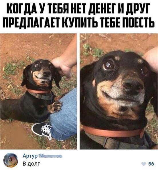 Немного картинок в этот четверг