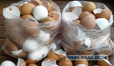 Израильская кухня: просто, нажористо, вкусно