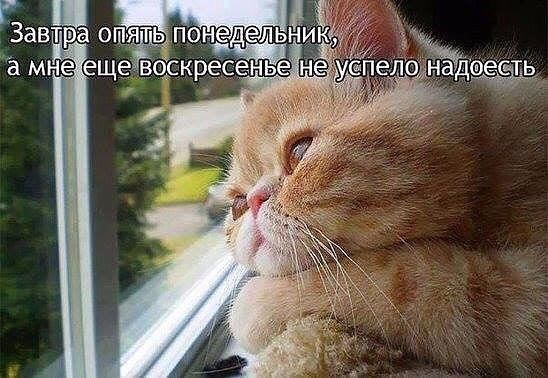 Ебанёмся на отличненько!