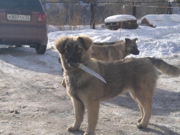 WTF: что тут происходит?