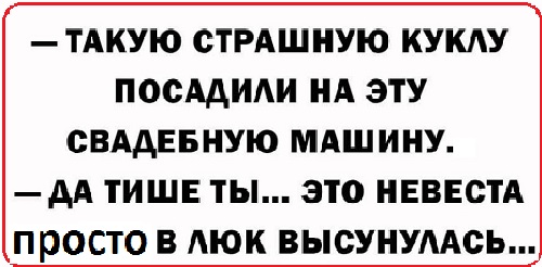 Анекдоты, соц-сети, истории и картинки с надписями