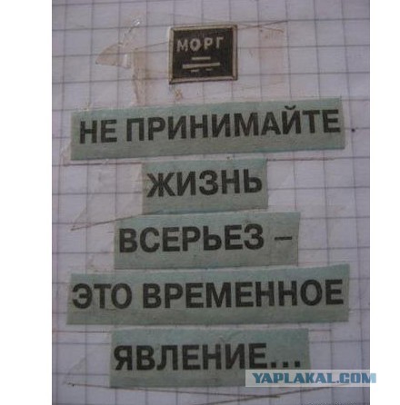 Ко дню Медицинского работника! Немного чёрного юмора
