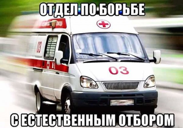 Картинки с надписями и анекдоты
