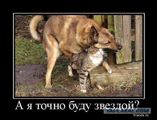 Древние мемы с ВК. Для тех кто забыл