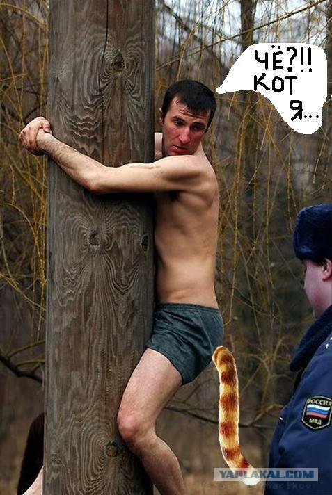 Надпись-жаба: Кто вы такие? Я вас не звал!