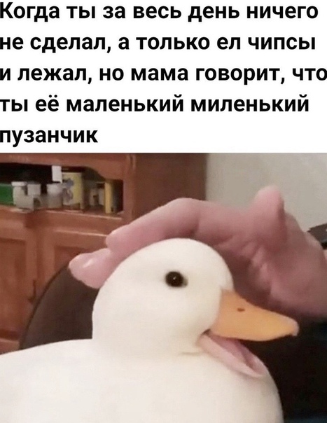 Немного картинок для настроения 31.05.20