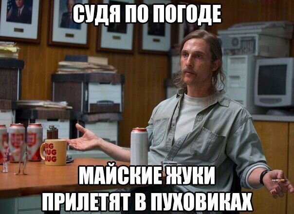 Чуток картинок 09.06.20