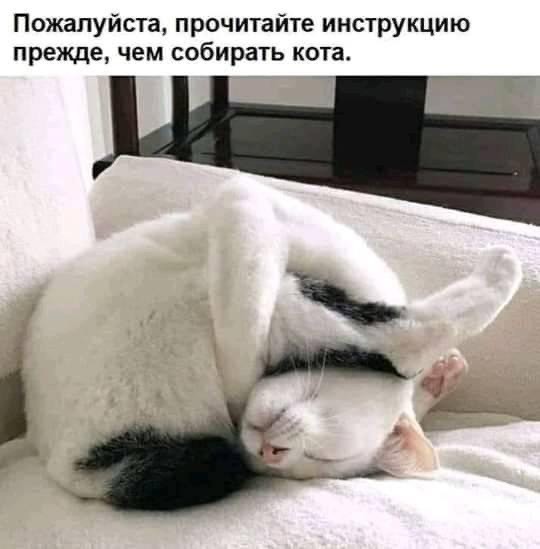 Картинки разные