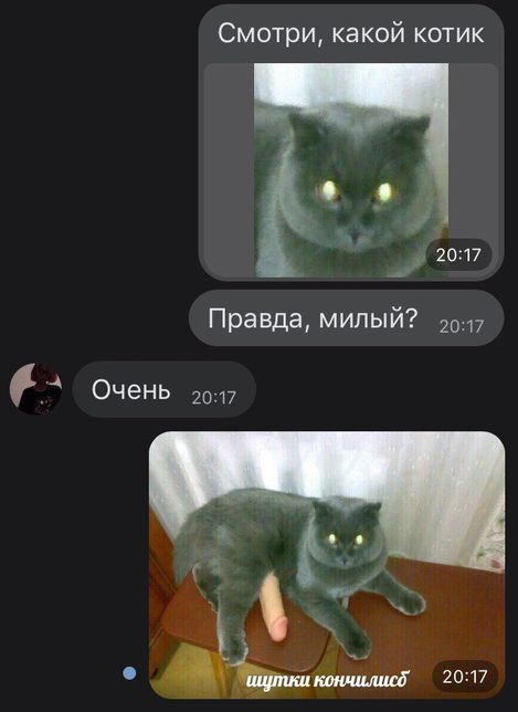 Пятница. И немного слегка пошлых картинок с надписями и без 16+ (11/09/)