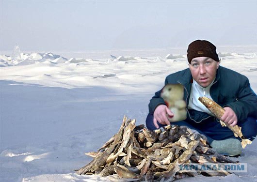 Фотожаба: Бодрячком, пацанчики!