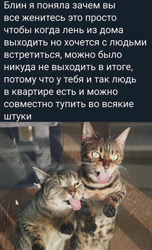 Картинки и мемы для настроения 009