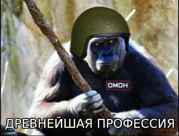 Ей нравится работать с людьми