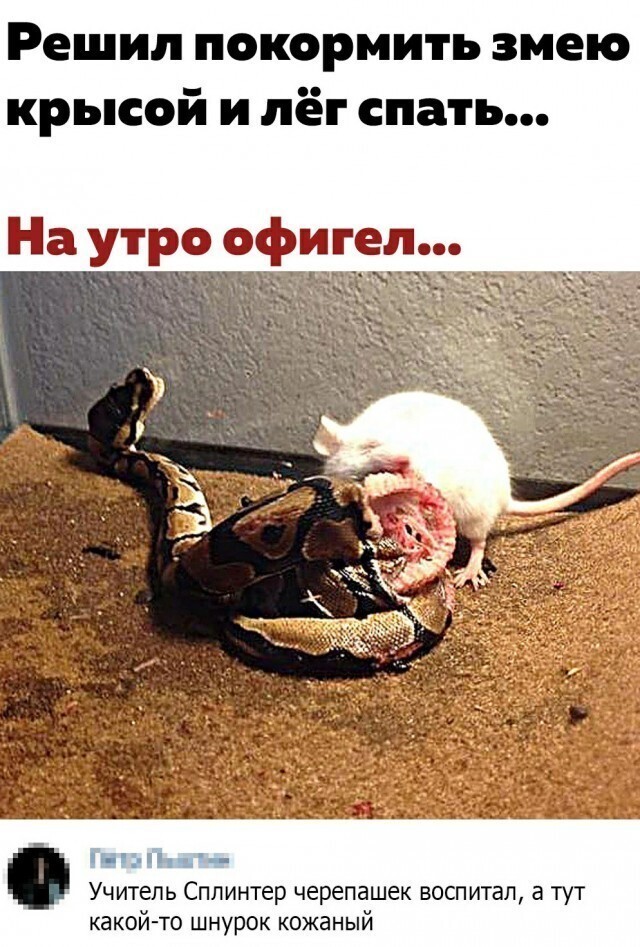 Картинки и мемы для настроения 020
