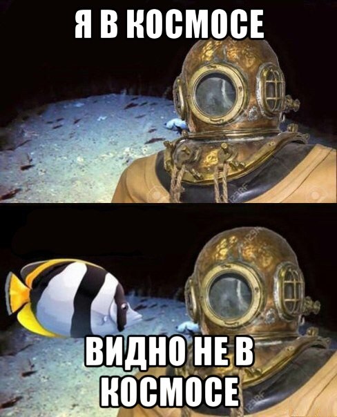 Весёлый полтишок 2.06.2021