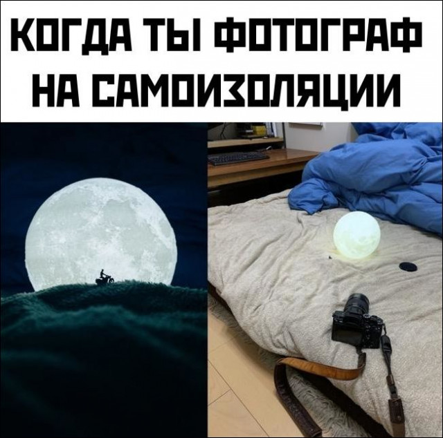 Картинки и мемы для настроения 16.06.2021