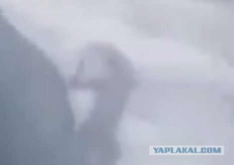 Как одна дура забрала жизнь у парня