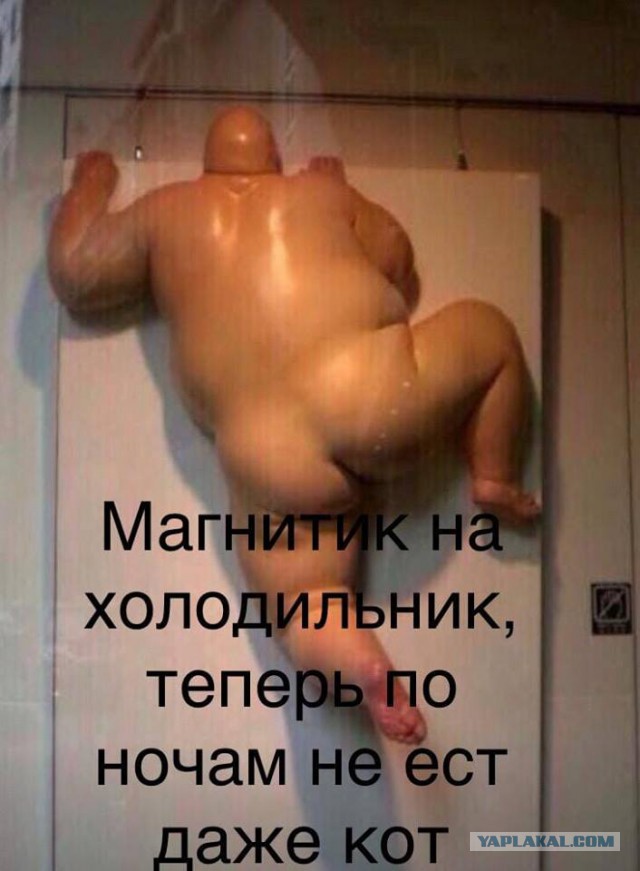 Боян на Бояне...