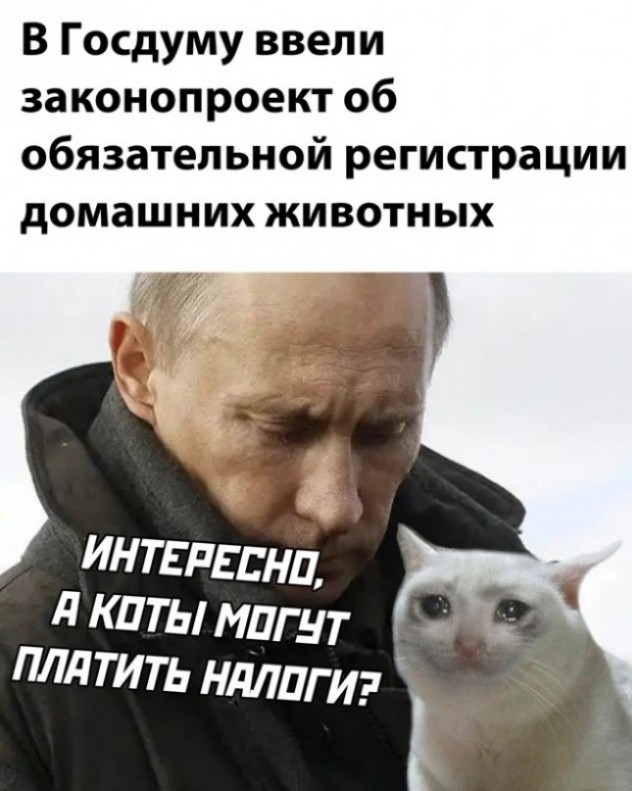 Всякие разные картинки 19.11.2021