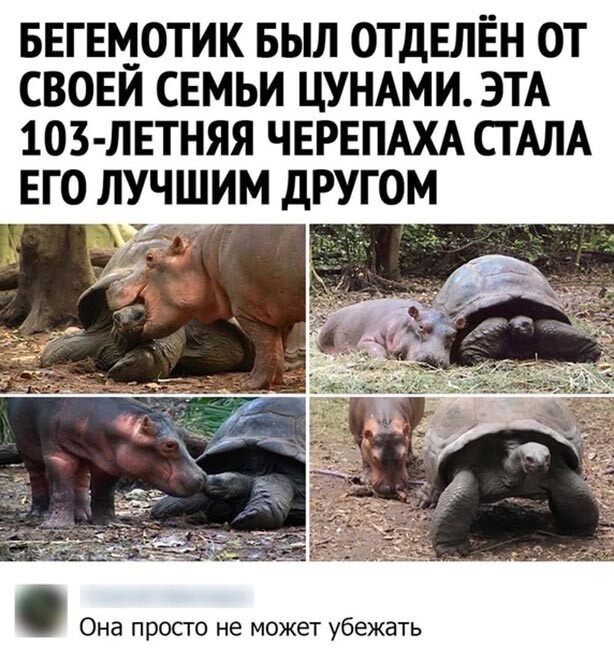 Так себе картинки 29.05.22