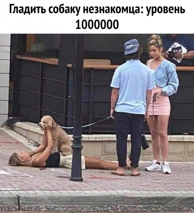 Картинки и мемы для настроения - 009