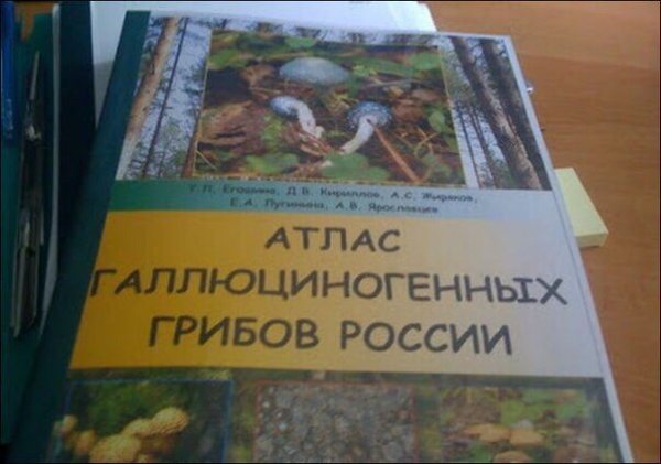 Прикольные и просто красивые картинки 19.09.2022