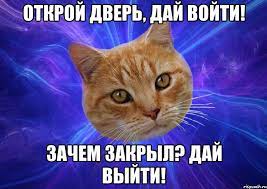 Учим собаку закрывать дверь