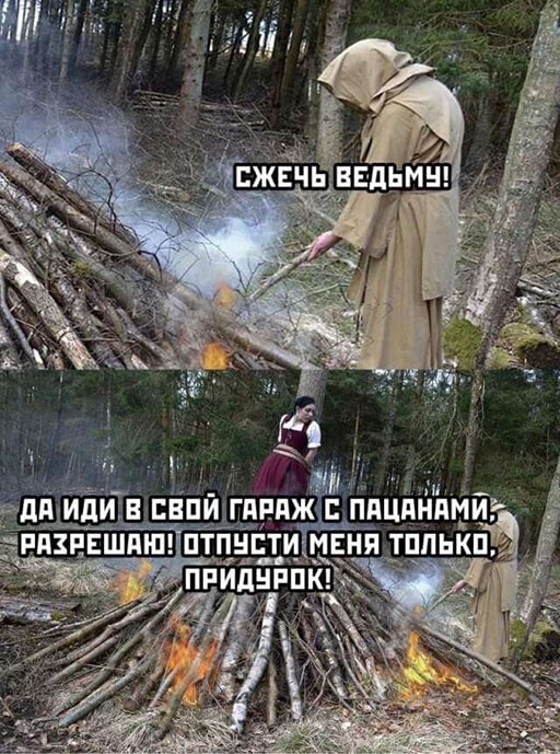 Весёлый полтишок 20.10.22