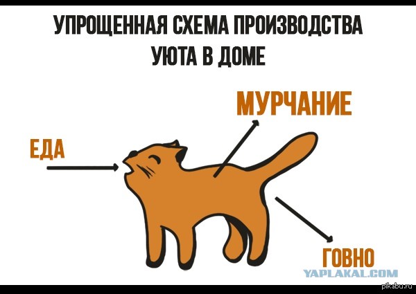 Котоюмор на ЯП. Веселые кото-картинки!