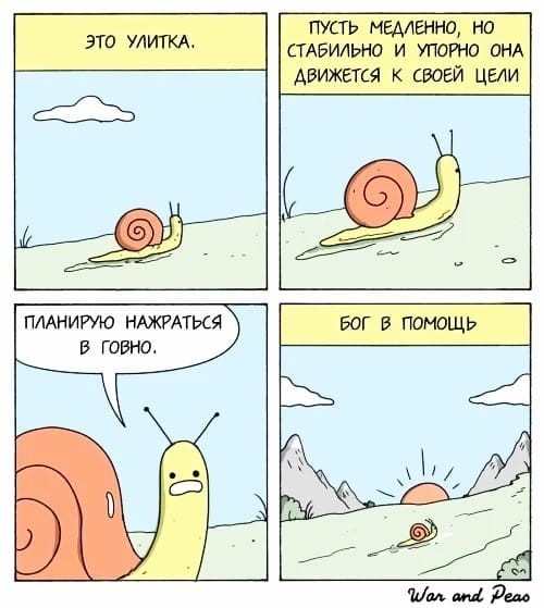 Твитота