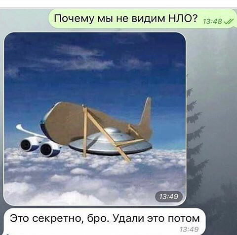 Весёлый полтишок 26.12.2022