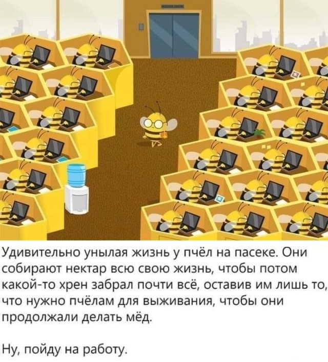 Немного картинок для настроения/постпраздничное