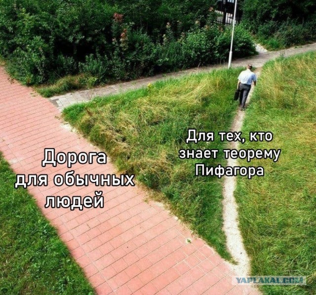 Весёлый полтишок 09.11.23