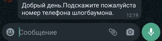 Всего понемногу. От 17.01.24