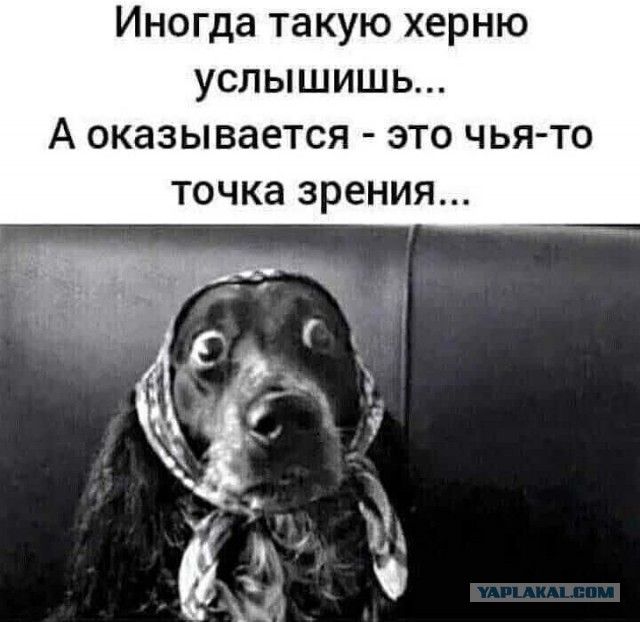 В Госдуме посоветовали девочкам рожать. А их родителям - принять это